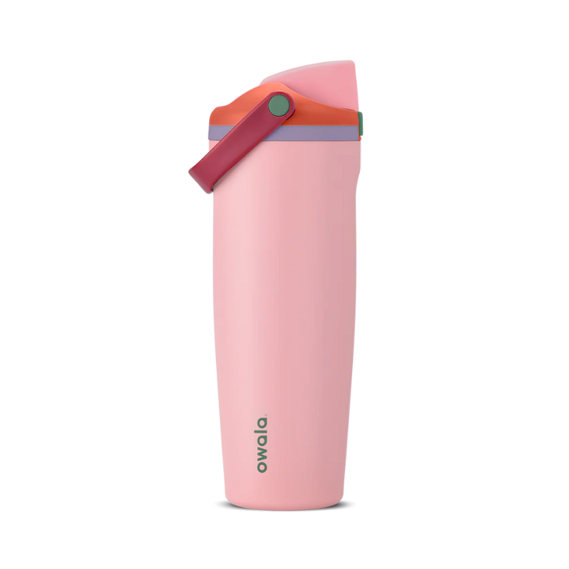 Owala FreeSip 30 oz | Original