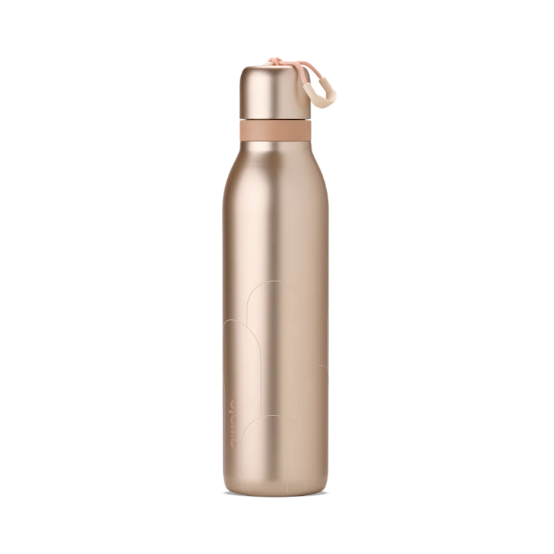 Owala FreeSip 24 oz Paparazzi | Edición Birthday Bash Original