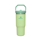 Stanley 30 oz the IceFlow Flip Straw Tumbler - Original