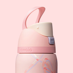 Owala FreeSip 32 oz | Sugar Plum Fairy Original