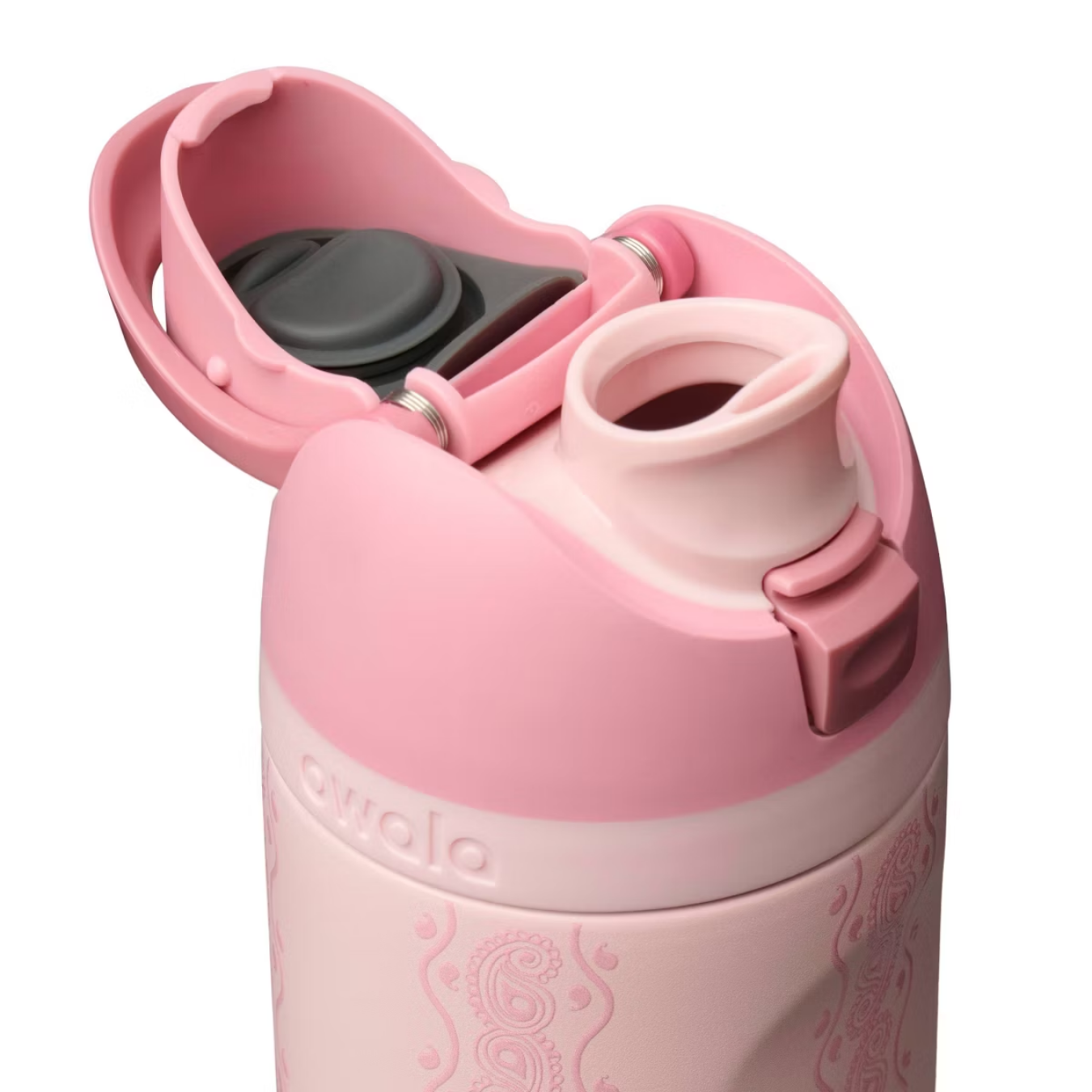 Owala FreeSip 24 oz | Painted Canyon Original